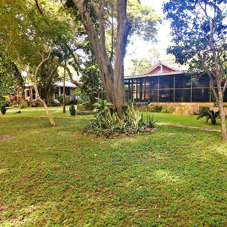 Xalli Beach Hotel Altagracia Esterno foto